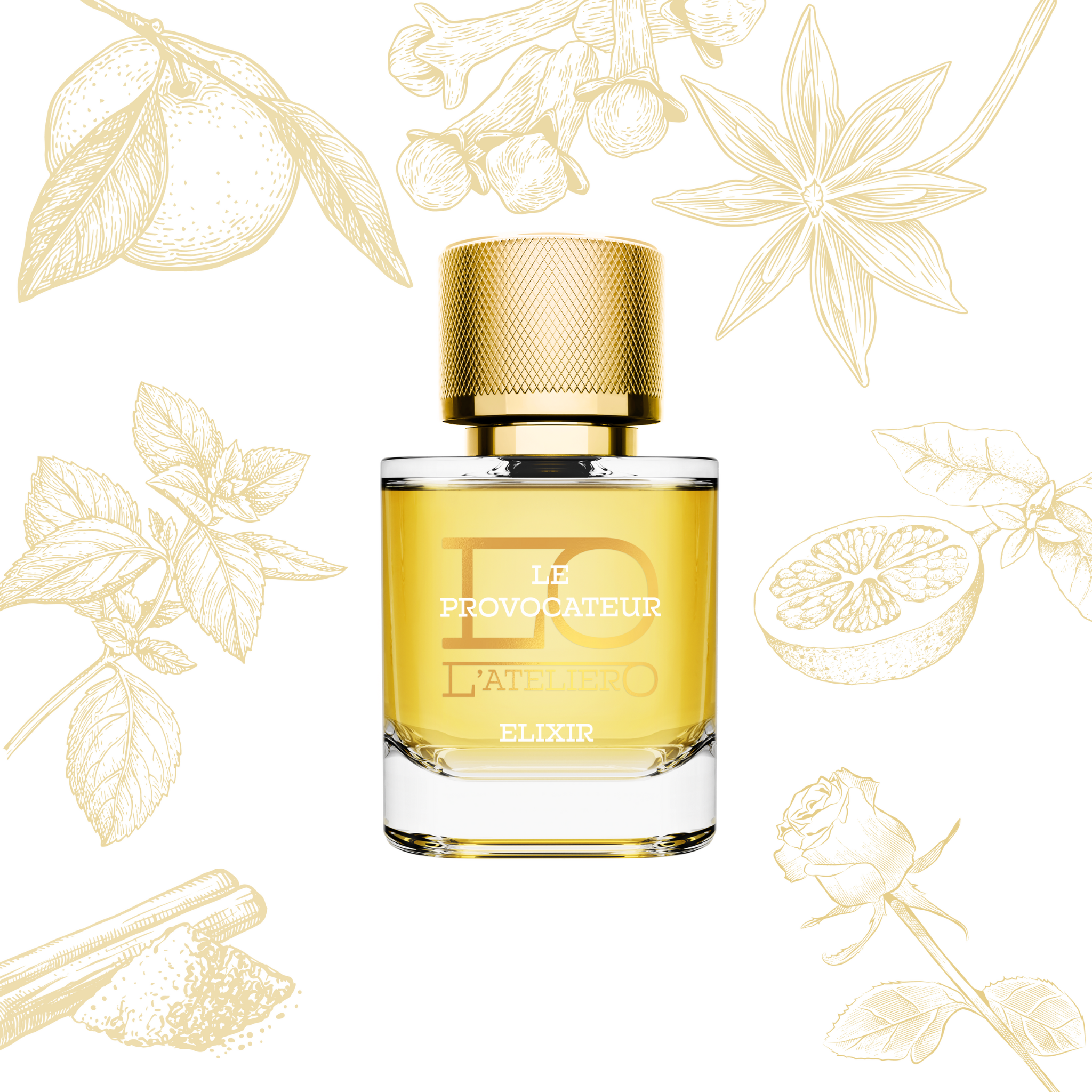 LATELIERO Le Provocateur Elixir Parfum - Flakon und Duftnoten